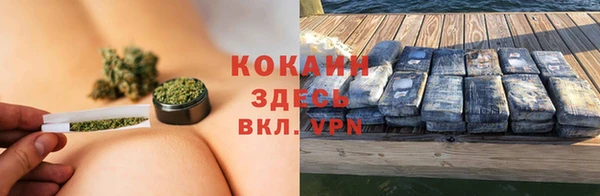 мет Ладушкин
