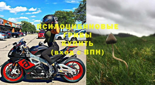 мет Ладушкин