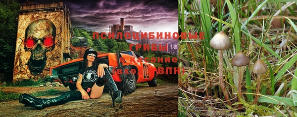 прущий лед Кулебаки